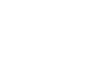 LSG actionlighting Logo